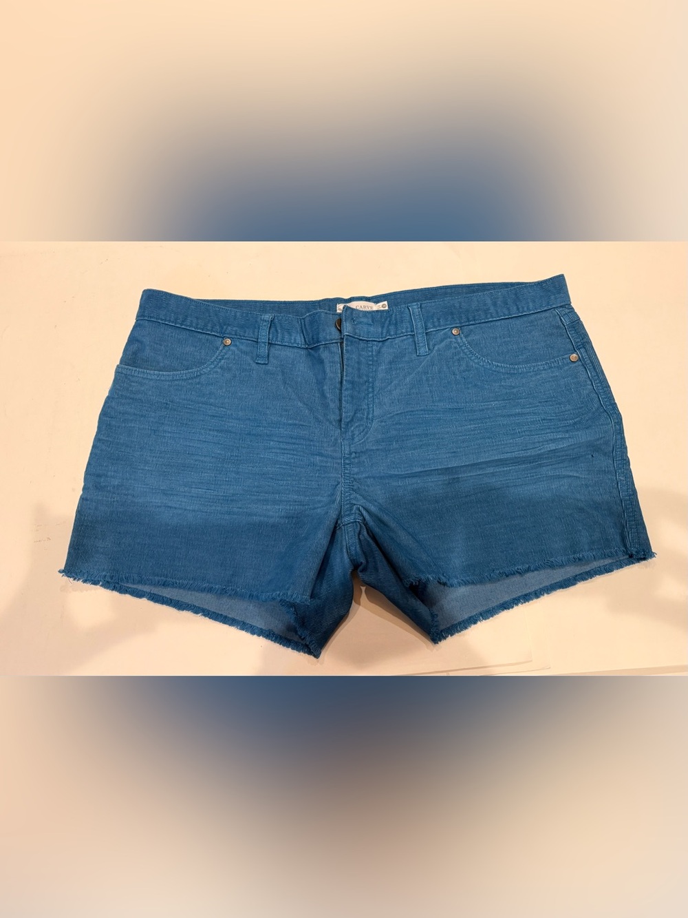 Carve Designs Teal-Blue Corduroy Women's Shorts